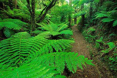 视觉小说角色扮演游戏《玻璃鱼缸》现已推出试玩Demo